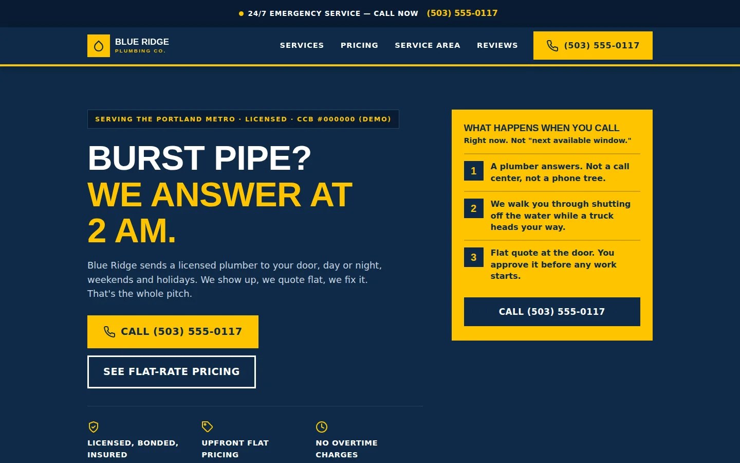 Concept homepage for Blue Ridge Plumbing — emergency call banner, service list, and licensing badges — desktop view